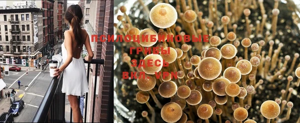 стаф Протвино