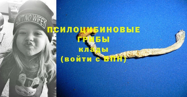 МДПВ Арсеньев