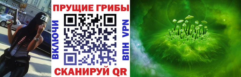 где можно купить   Асбест  Псилоцибиновые грибы мухоморы 