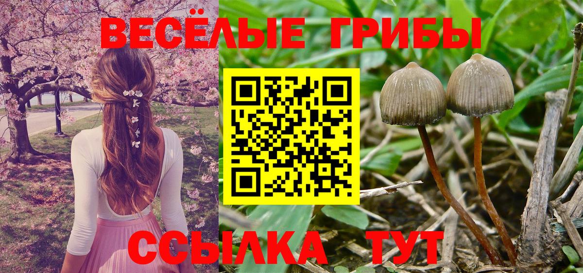 Галлюциногенные грибы прущие грибы Асбест